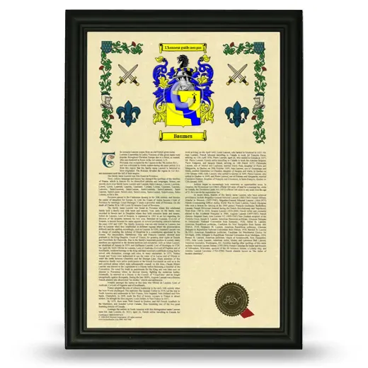 Baumes Armorial History Framed - Black