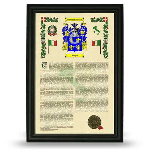 Biagia Armorial History Framed - Black