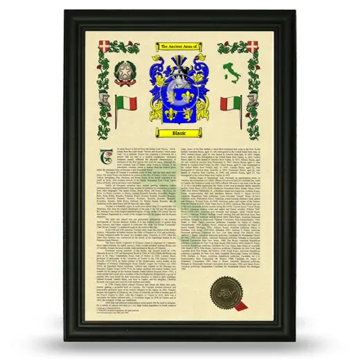 Blasic Armorial History Framed - Black