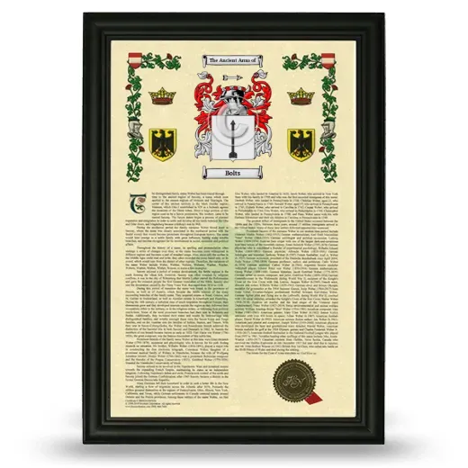 Bolts Armorial History Framed - Black