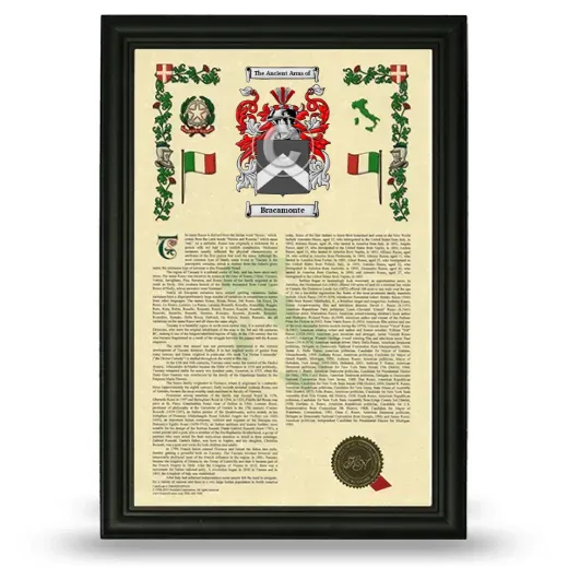 Bracamonte Armorial History Framed - Black