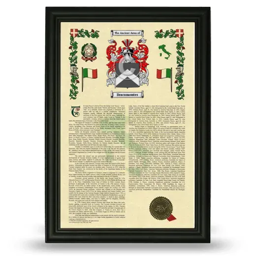 Bracamontes Armorial History Framed - Black