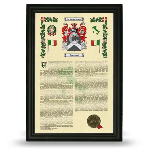 Braccioni Armorial History Framed - Black