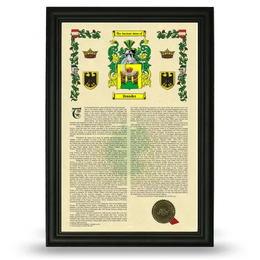 Brandes Armorial History Framed - Black