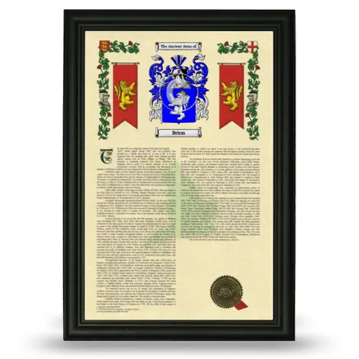 Brinn Armorial History Framed - Black
