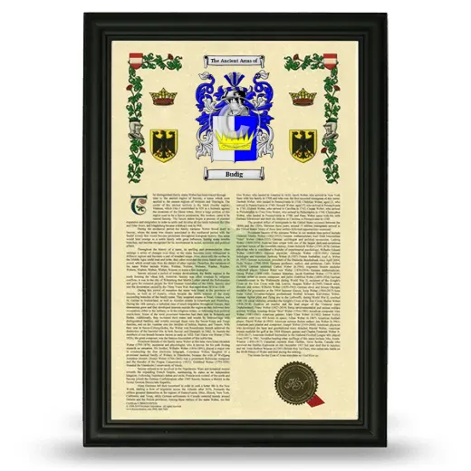 Budig Armorial History Framed - Black