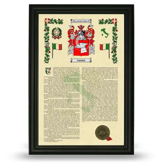 Capozzi Armorial History Framed - Black