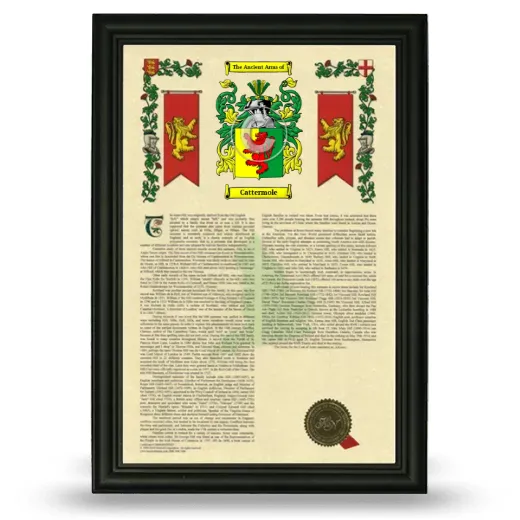 Cattermole Armorial History Framed - Black