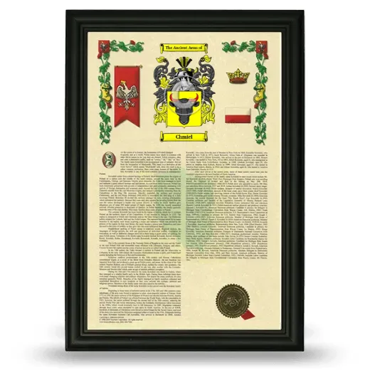 Chmiel Armorial History Framed - Black