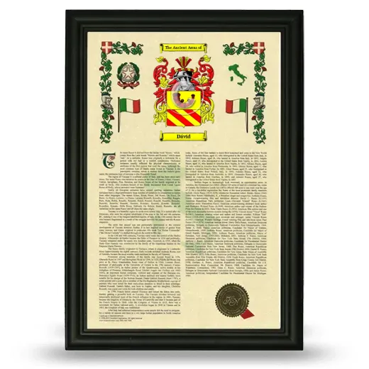 Dávid Armorial History Framed - Black