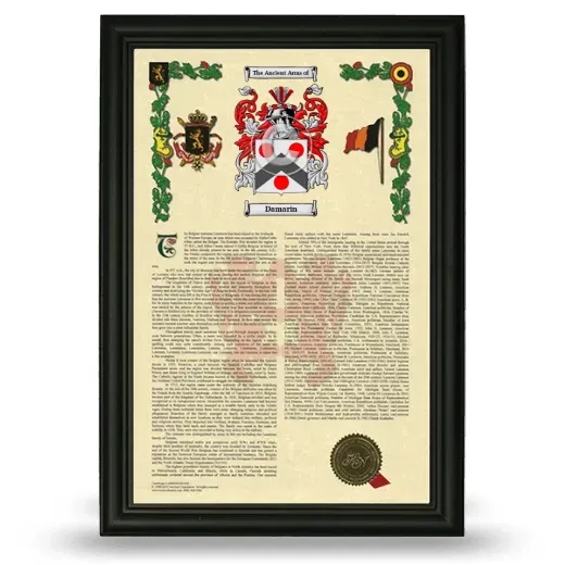 Damarin Armorial History Framed - Black