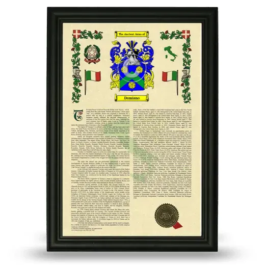 Damiano Armorial History Framed - Black