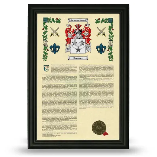 Damoure Armorial History Framed - Black