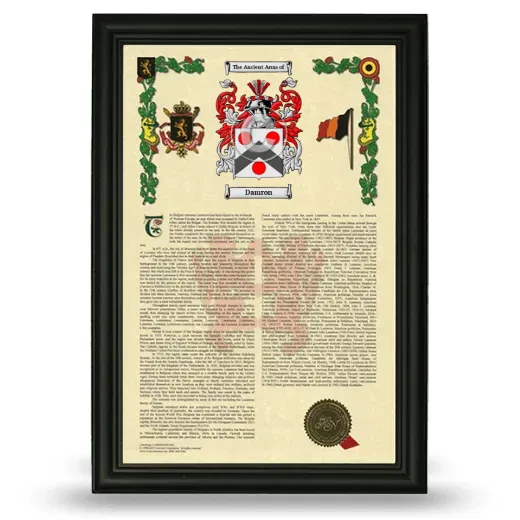 Damron Armorial History Framed - Black