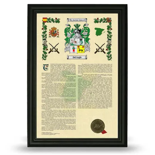 Del tagle Armorial History Framed - Black