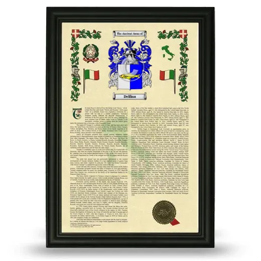 Delfina Armorial History Framed - Black