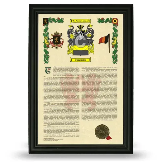 Dumoulins Armorial History Framed - Black