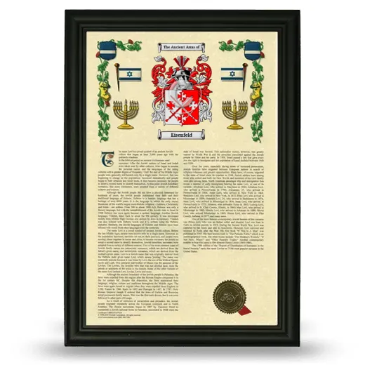 Eisenfeld Armorial History Framed - Black