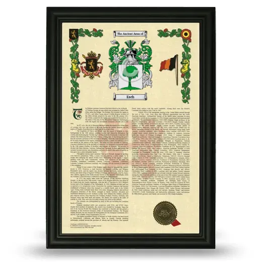 Esch Armorial History Framed - Black