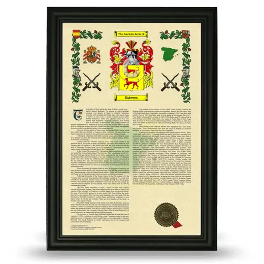 Esteves Armorial History Framed - Black