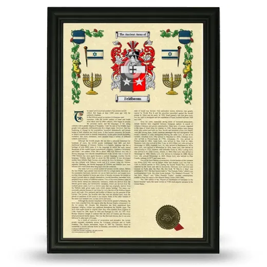Feldbaum Armorial History Framed - Black
