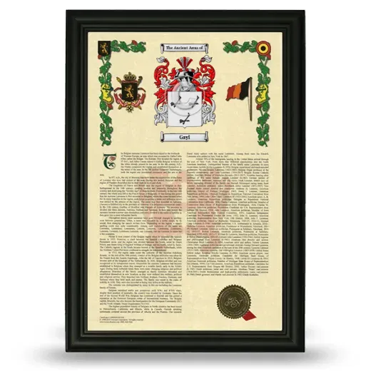 Gayl Armorial History Framed - Black