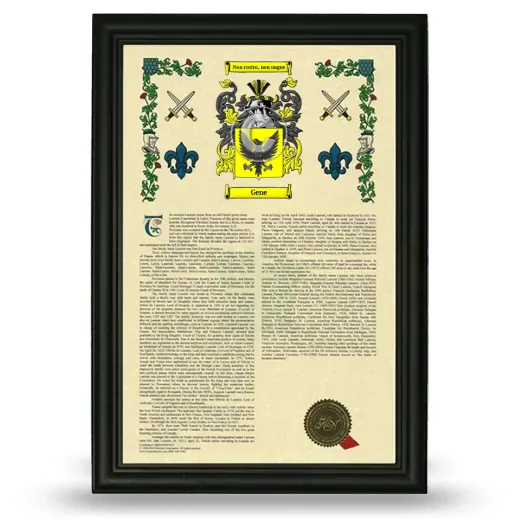 Gene Armorial History Framed - Black