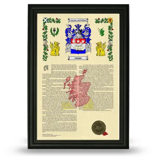 Guinne Armorial History Framed - Black