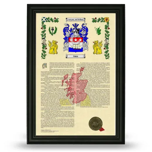 Guns Armorial History Framed - Black