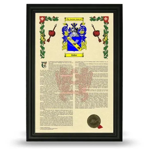 Haber Armorial History Framed - Black
