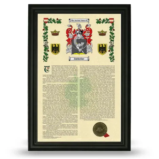 Habischer Armorial History Framed - Black