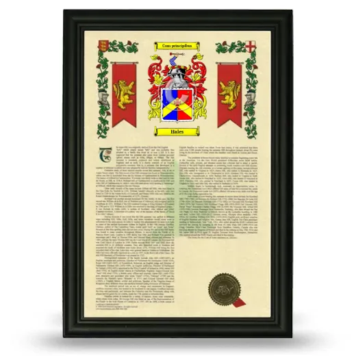 Hales Armorial History Framed - Black