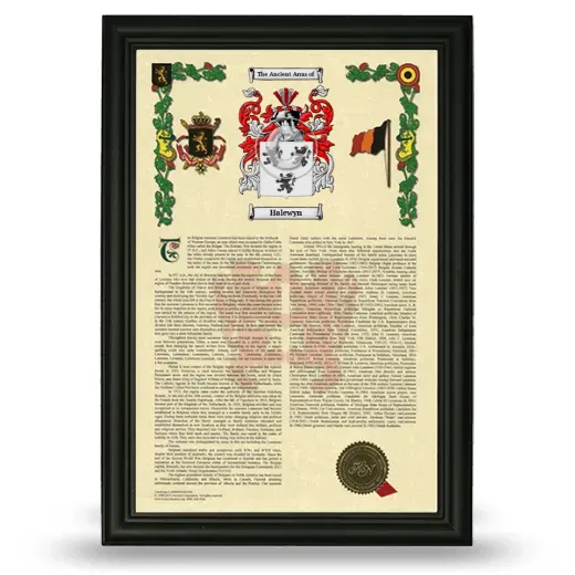 Halewyn Armorial History Framed - Black