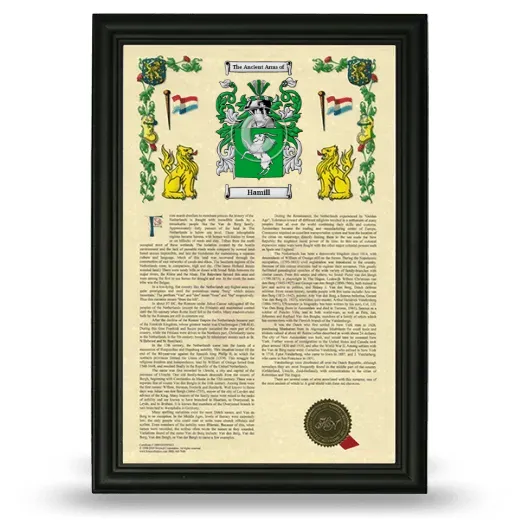 Hamill Armorial History Framed - Black