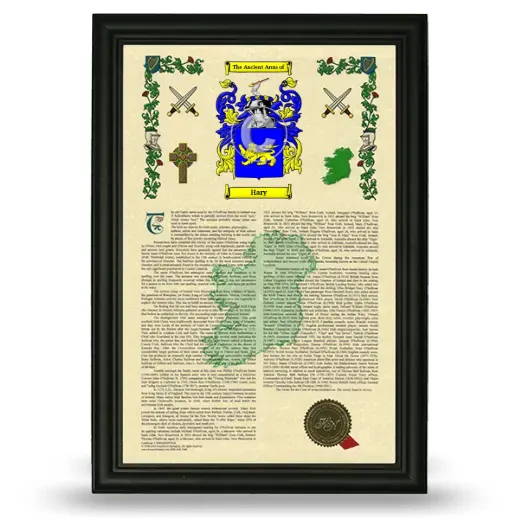 Hary Armorial History Framed - Black