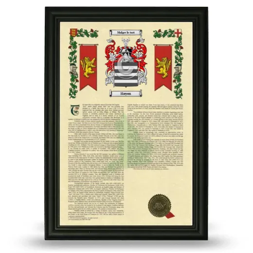 Hayon Armorial History Framed - Black