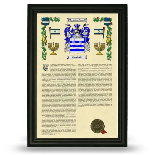 Hirschfeld Armorial History Framed - Black