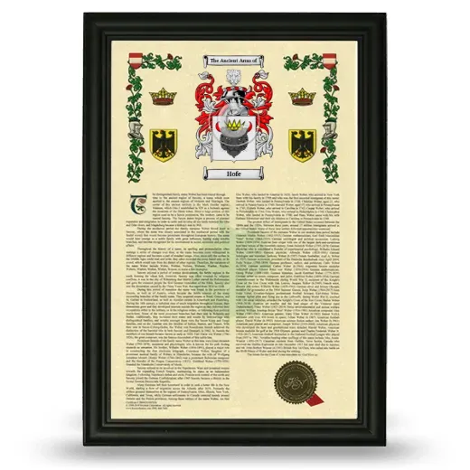 Hofe Armorial History Framed - Black