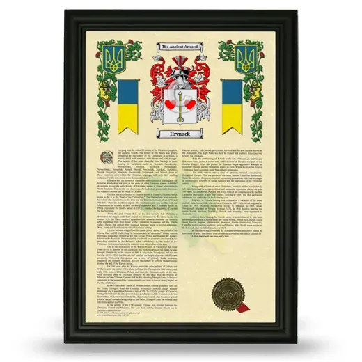 Hrynuck Armorial History Framed - Black