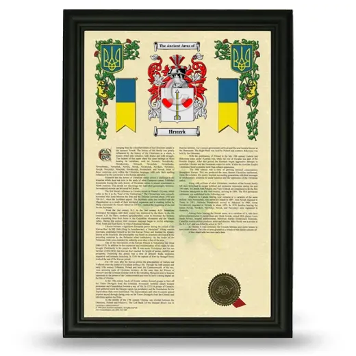Hrynyk Armorial History Framed - Black