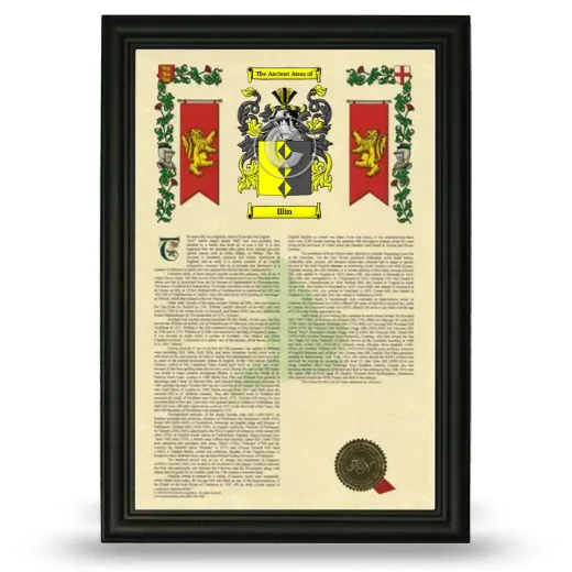 Illin Armorial History Framed - Black