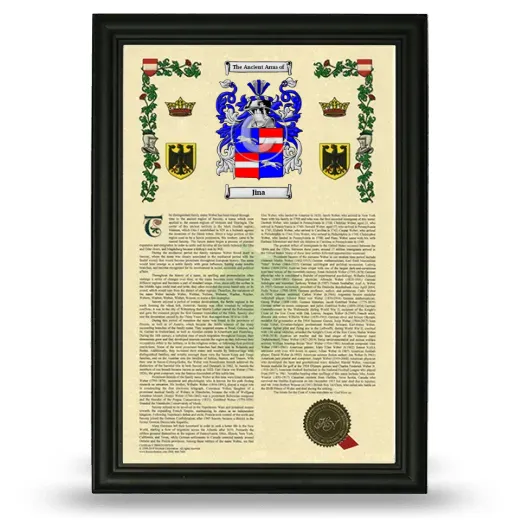 Jina Armorial History Framed - Black