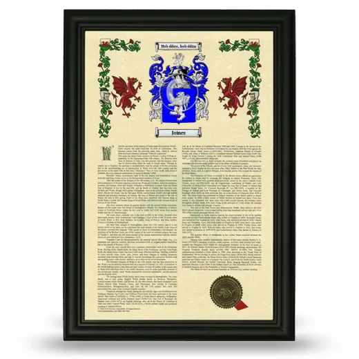 Joines Armorial History Framed - Black