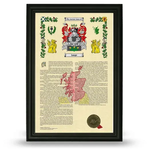 Lange Armorial History Framed - Black