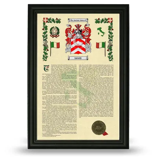 Lievely Armorial History Framed - Black