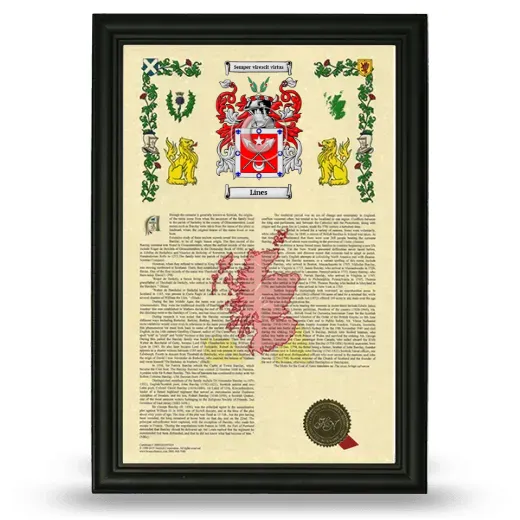 Lines Armorial History Framed - Black