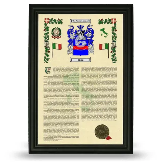 Liuni Armorial History Framed - Black