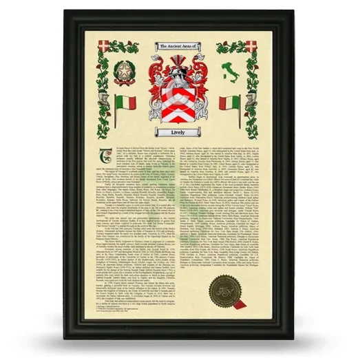 Lively Armorial History Framed - Black