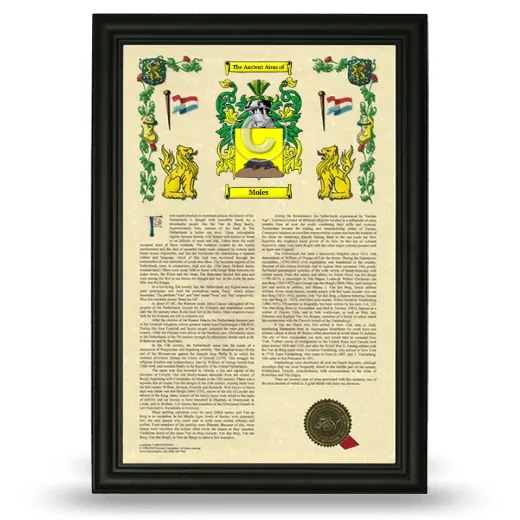 Moles Armorial History Framed - Black