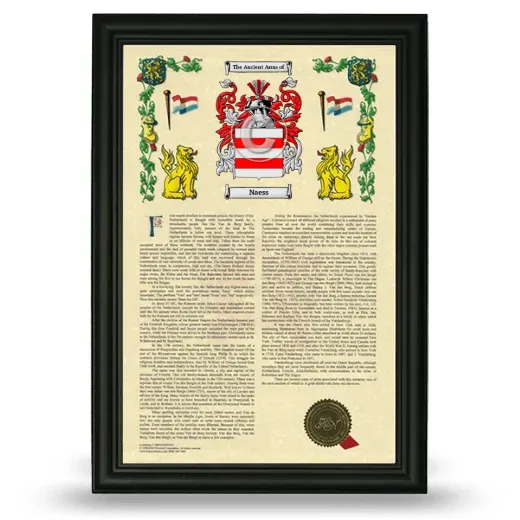 Naess Armorial History Framed - Black